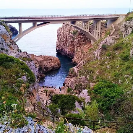 Bright In - 30 Sqm + Enclosed Garden アパート