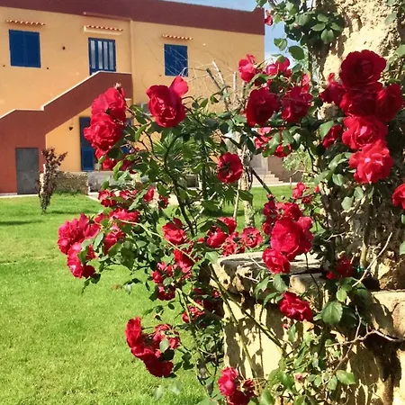 Bright In - 30 Sqm + Enclosed Garden Apartment *